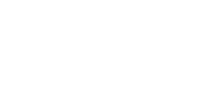 Downtown Boston Alliance