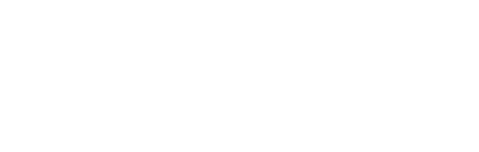 The Fallon Company